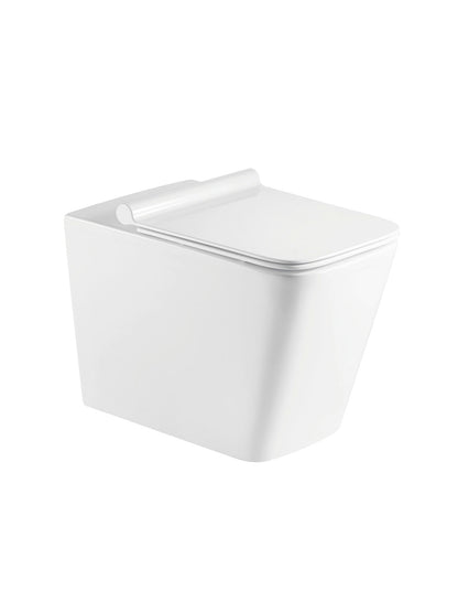 Luna Back To Wall Pan Including Soft Close Seat