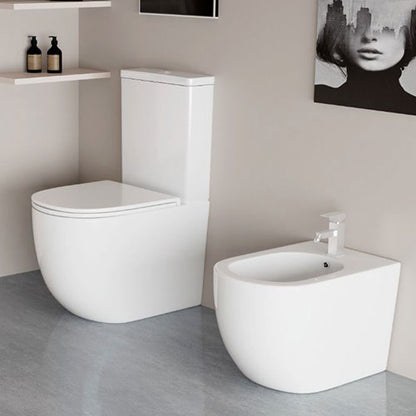 Branch Rimless Fully Back To Wall Pan With Cistern And Soft Close Seat